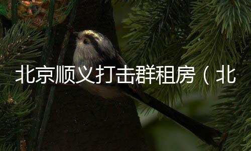 北京順義打擊群租房（北京打擊群租房）