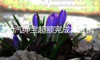 北汽紳寶超額完成年度銷量目標(biāo)