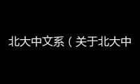 北大中文系（關于北大中文系的基本情況說明介紹）