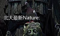 北大最新Nature: 新型合金電催化劑 – 材料牛