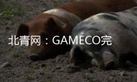 北青網(wǎng)：GAMECO完成其首架在國(guó)內(nèi)注冊(cè)的737