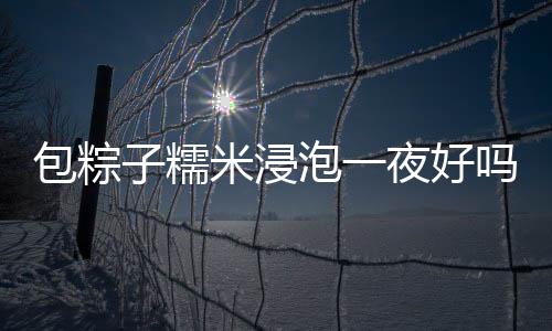 包粽子糯米浸泡一夜好嗎（包粽子糯米要泡一夜嘛）