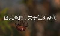 包頭澤潤（關(guān)于包頭澤潤的基本情況說明介紹）