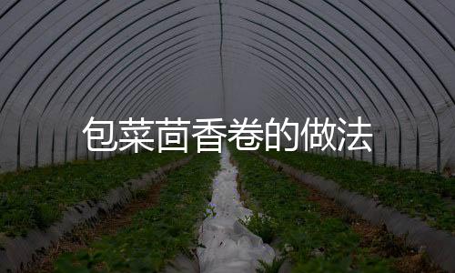 包菜茴香卷的做法