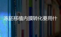 凍胚移植內膜轉化要用什么藥物調理大揭秘，想造吃啥好戳