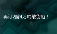 再訂2艘4萬噸散貨船！慧洋海運去年業績再創新高