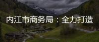 內(nèi)江市商務(wù)局：全力打造“川南電子商務(wù)發(fā)展中心”