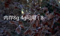 內(nèi)存8g 4g可用（8g內(nèi)存4g可用）