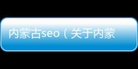 內蒙古seo（關于內蒙古seo的基本情況說明介紹）