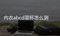 內(nèi)衣abcd罩杯怎么測(cè)量（內(nèi)衣abcd罩杯示意圖）