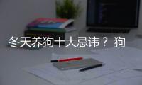 冬天養(yǎng)狗十大忌諱？ 狗狗喂養(yǎng)十大禁忌