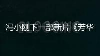 馮小剛下一部新片《芳華》曝光 2017年1月開機