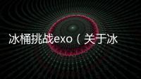 冰桶挑戰exo（關于冰桶挑戰exo的基本情況說明介紹）