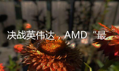 決戰(zhàn)英偉達，AMD“最強算力芯片”發(fā)布