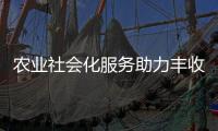 農業社會化服務助力豐收 ——從夏收一線看農業強國建設之三