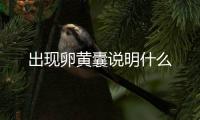 出現卵黃囊說明什么