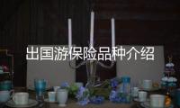 出國(guó)游保險(xiǎn)品種介紹