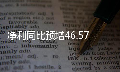 凈利同比預(yù)增46.57%