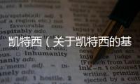 凱特西（關于凱特西的基本情況說明介紹）