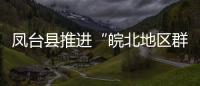 鳳臺縣推進“皖北地區群眾喝上引調水工程”