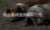 鳳臺縣將發放600萬元惠民消費券