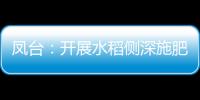 鳳臺：開展水稻側深施肥觀摩 助力化肥減量節本增效