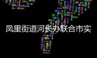 鳳里街道河長辦聯合市實驗小學舉辦河湖長制宣傳活動