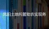 鳳陽土地托管助農實現務工種地兩不誤_