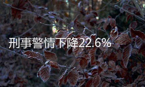 刑事警情下降22.6%！王家墩派出所不負“企”盼