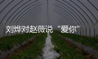 劉燁對趙薇說“愛你” 老友相聚喝得有點多