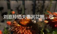 劉嘉玲曬夫妻賞花照，將自己修成二八少女，卻顯得梁朝偉老態龍鐘