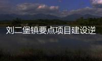 劉二堡鎮要點項目建設逆勢而上,行業資訊