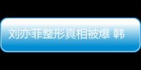 劉亦菲整形真相被爆 韓國整形院長發聲證明【整形】風尚中國網