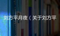 劉方平月夜（關(guān)于劉方平月夜的基本情況說(shuō)明介紹）