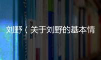 劉野（關于劉野的基本情況說明介紹）