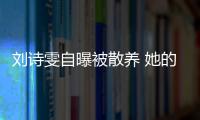 劉詩雯自曝被散養 她的奧運單打夢還能實現嗎？