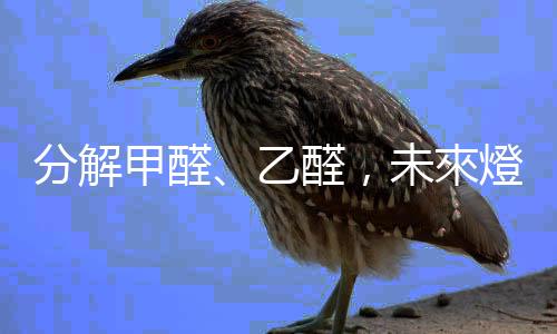 分解甲醛、乙醛，未來燈罩也可以淨化室內空氣