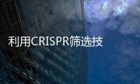 利用CRISPR篩選技術或有望識別出治療AML新型藥物靶點