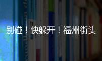 別碰！快躲開！福州街頭大量出現！