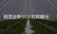 別克全新SUV名稱曝光 或命名為昂科威S