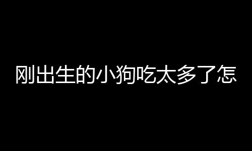 剛出生的小狗吃太多了怎么辦？剛出生的小狗拉稀