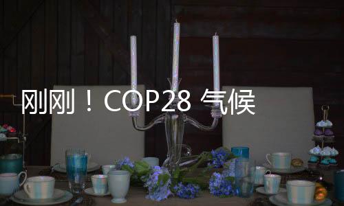 剛剛！COP28 氣候峰會(huì)結(jié)束，達(dá)成擺脫化石燃料的協(xié)議