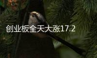 創(chuàng)業(yè)板全天大漲17.25% 創(chuàng)歷史單日最大漲幅