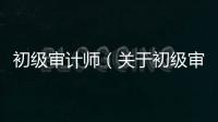 初級審計師（關于初級審計師的基本情況說明介紹）