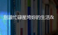 別讓忙碌壓垮妳的生活——補充蛋白質+益生菌，為健康養好「底氣」