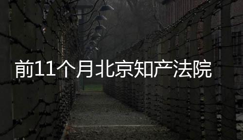 前11個月北京知產法院受案2.4萬余件 同比下降7%