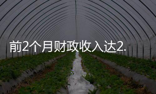 前2個(gè)月財(cái)政收入達(dá)2.2萬(wàn)億元 地方稅收增加