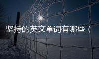 堅持的英文單詞有哪些（堅持的英文單詞）