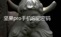 堅果pro手機忘記密碼怎么刷機？