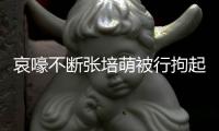 哀嚎不斷張培萌被行拘起因闖入妻子漠寒家中強行搶回女兒